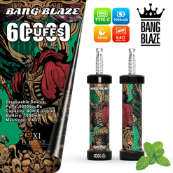 Bang Blaze disposable vaping device with skeleton warrior artwork, offering 6000 puffs, 40ml e-liquid capacity, 1000mAh battery, and 0.6 ohm mesh coil, depicted front and back with ventilation mouthpiece and mint leaves indicating cool mint flavor.