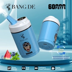 Two light blue cylindrical vaping devices with black and white logos and text, one emitting vapor, placed on a blue circular platform with images of watermelon slice, blueberries, and mint leaves nearby, against a blue gradient background and text indicating 60,000 puffs and three flavors: watermelon ice, blueberry mint.