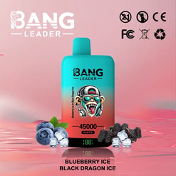 Bang Leader disposable vape device in turquoise and orange gradient with 45000 puffs capacity, placed between fresh blueberries with ice cubes and black mulberry fruits with ice cubes on a reflective pink surface, featuring product name Blueberry Ice Black Dragon Ice.