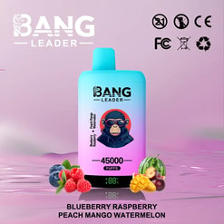 Gradient blue to pink Bang Leader device with a blurred face illustration on the front, surrounded by images of blueberries, raspberries, mango, and watermelon, with text indicating 45000 puffs and fruit flavors listed below on a purple background.