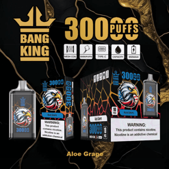 Bang King Aloe Grape disposable vape device and packaging featuring an eagle graphic, advertising 300 puffs, mesh coil, type-C charging, 650mAh capacity, with nicotine warning labels