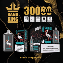 Bang King disposable vape device and packaging featuring a white heron illustration, black dragon ice flavor, 300 puffs, mesh coil, type-C charging, 650mAh capacity, with nicotine warning labels