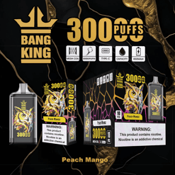 Bang King brand disposable vape device and packaging featuring a colorful owl illustration and labeled '3000 puffs' with peach mango flavor, mesh coil, Type-C charging, and 650mAh capacity; nicotine warning displayed.