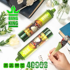 Two green Bang King disposable vape devices with a cartoon gorilla wearing a hat on the label, surrounded by green plants, flowers, books, and a hand holding a pen with an owl figure, on a white surface.