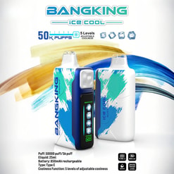 Two Bangking Ice Cool vape devices with blue and green abstract patterns, standing side by side against a white background with colorful brush strokes behind them, featuring text about 50,000 puffs, 5 levels of adjustable coolness, 25 ml e-liquid, 850 mAh rechargeable battery, and Type C charging.