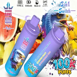 Two purple Bang King vape pens with blue eagle artwork and 100K Puffs label, set against a colorful fruit background.