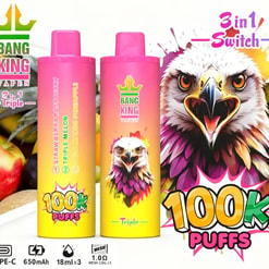 Two pink-to-yellow gradient vape bottles with Bang King branding, an eagle illustration, and a large 100K Puffs graphic.