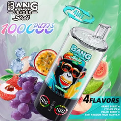 Colorful Bang Leader vape device with a clear bottle, surrounding fruit imagery, two digital dials at the base, and 4 flavors.
