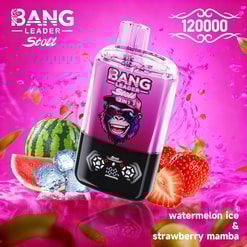 Pink Bang Leader Stoli smoothie blender with a black base and digital control panel, surrounded by watermelon, ice, and strawberries.