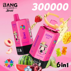 Deux bouteilles de boisson Bang Leader Stoll 6 en 1 roses avec un singe de dessin animé; saveurs Peach Berry et Triple Melon.