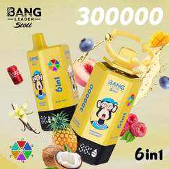Deux cartons de jus Bang Leader Stoll jaunes 6 en 1 avec un logo de singe de dessin animé, entourés de fruits tropicaux et d'un fond éclatant.