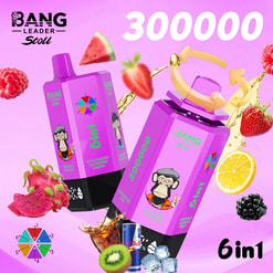 Deux bouteilles de jus 6-en-1 Bang Leader Stoll violettes avec un singe de dessin animé, entouré de tranches de fruits sur fond rose.