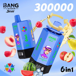 Deux bouteilles bleues Bang Leader Stoll 6 en 1 avec un logo de singe et une roue chromatique, pêches, framboises et pastèque en vue.