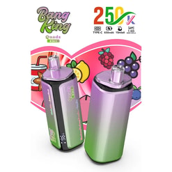 Two colorful smoothie-style blenders with purple-green gradient bodies, labeled Bang King Quads 4 in 1, set against a pink fruit-themed backdrop.