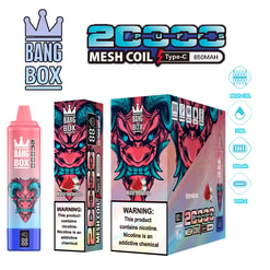 Bang Box 2000+ Mesh Coil Type-C 850mAh vape kit with pink nicotine bottle and colorful dragon artwork packaging display, showing warning label and product icons.