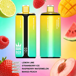 Two gradient color vape devices standing side by side with fruity background; left bottle features lemon lime and mango peach flavors, right bottle shows strawberry ice and raspberry watermelon mango peach flavor list.
