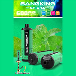 BangKing E-Shisha vape setup with a “BANGKING – SHISHA” banner, showing bottle, mouthpiece, coil, and e-shisha head