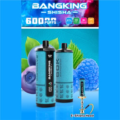 Bangking Shisha 6000 puffs e-shisha bottles with blue berry and leaf background, featuring E-Shisha Head