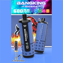 Bang King Shisha 6000 puffs vape device with two blue cartridges, “BANGKING-SHISHA” text background