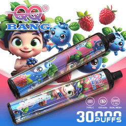 Cute BERNG vape device graphic with blue character, fruit icons, Type-C 650mAh dual mesh, 30 puffs text