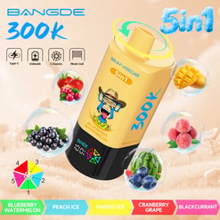 BANNGDE 300K disposable 5-in-1 vape with flavors shown: blueberry, peach ice, mango ice, cranberry grape, blackcurrant