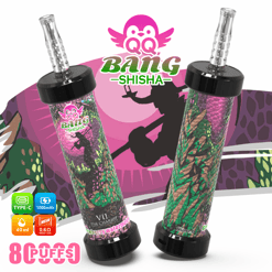 Two Bang Shisha vape devices with colorful patterned tubes and a pink “Bang-Shisha” graphic logo
