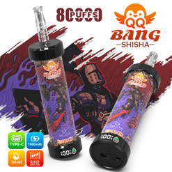 Two Brownalie shisha vape bottles with 800 Puffs “Bang Shisha” branding and colorful illustrated background graphics