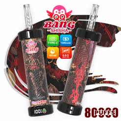 Bang Shisha vape device set with two bottles, “8 puffs” label, and specs (Type-C, 1000 mAh, 0.6 ohm, 40 ml)