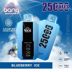 Two disposable vape devices in blue “Bang” branding with “25 Puffs” and “Blueberry Ice” flavor text
