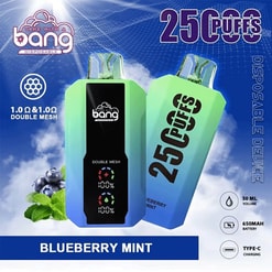 Vape disposable ad showing two devices in mint and blue with “25 PUFFS” and “BLUEBERRY MINT” text