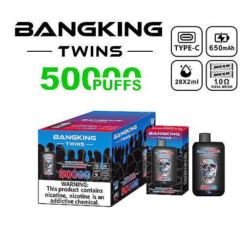 BangKing Twins disposable vape packaging featuring 5000 puffs, Type-C charging, 650mAh battery, 28ml e-liquid (2x14ml), 1.0 ohm dual mesh coils, with warning about nicotine addiction
