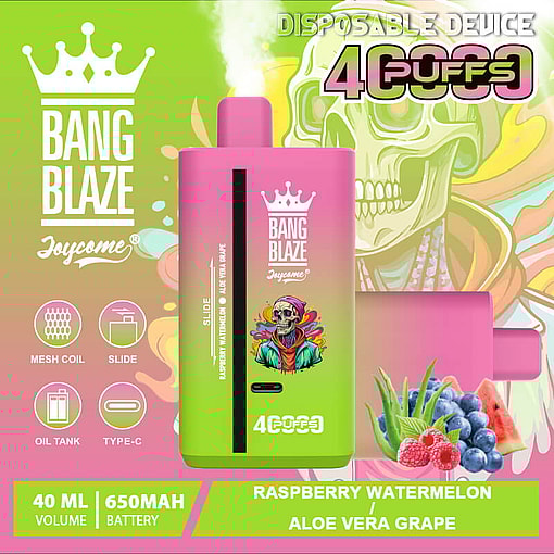 Pink and green gradient disposable vape device labeled Bang Blaze with a crown logo, featuring icons for mesh coil, slide, oil tank, and type-C charging, and a flavor description of raspberry watermelon and aloe vera grape alongside images of watermelon slices, aloe vera, grapes, blue berries, and raspberries, with a blurred skull wearing a colorful hoodie in the background and text indicating 4000 puffs, 40 ml volume, and 650 mAh battery.