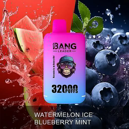 A pink and blue gradient disposable vape device labeled 'BANG LEADER 3200 PUFFS' positioned at the center with a splash of watermelon on the left and blueberries with mint leaves on the right, representing the flavor Watermelon Ice Blueberry Mint.