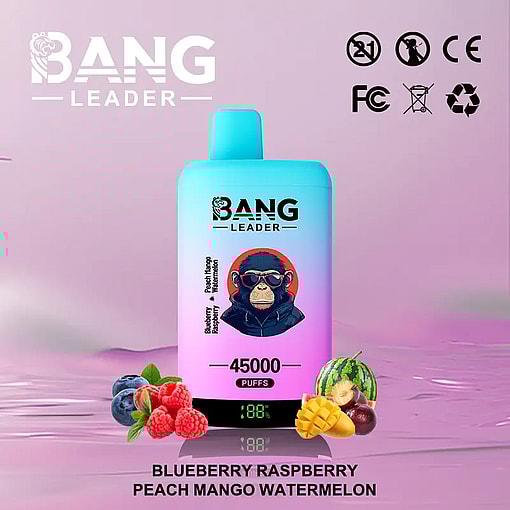 Gradient blue to pink Bang Leader device with a blurred face illustration on the front, surrounded by images of blueberries, raspberries, mango, and watermelon, with text indicating 45000 puffs and fruit flavors listed below on a purple background.