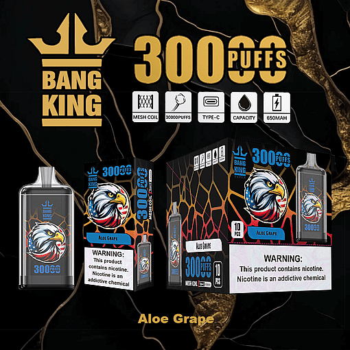 Bang King Aloe Grape disposable vape device and packaging featuring an eagle graphic, advertising 300 puffs, mesh coil, type-C charging, 650mAh capacity, with nicotine warning labels