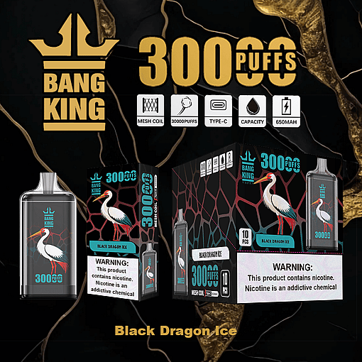 Bang King disposable vape device and packaging featuring a white heron illustration, black dragon ice flavor, 300 puffs, mesh coil, type-C charging, 650mAh capacity, with nicotine warning labels