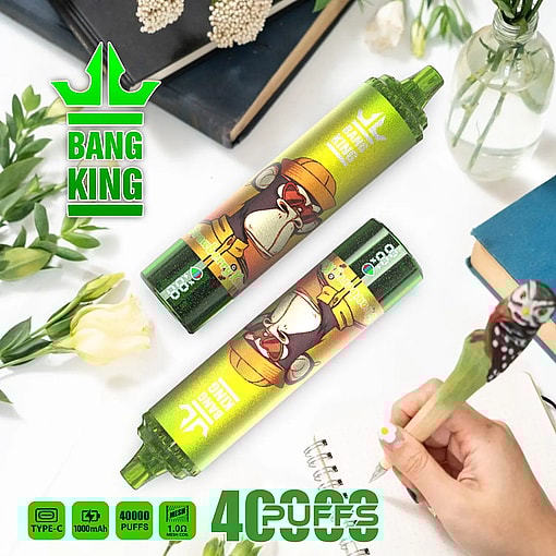 Two green Bang King disposable vape devices with a cartoon gorilla wearing a hat on the label, surrounded by green plants, flowers, books, and a hand holding a pen with an owl figure, on a white surface.