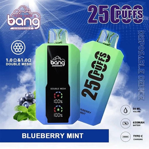 Vape disposable ad showing two devices in mint and blue with “25 PUFFS” and “BLUEBERRY MINT” text
