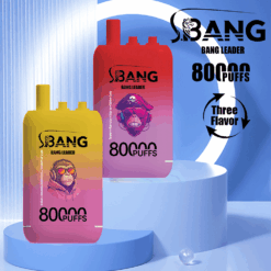 Zwei rechteckige Einweg-Vaporizer mit Affengrafiken, einer mit Farbverlauf von Gelb nach Pink und einer von Rot nach Pink, mit der Aufschrift „Bang Leader“ und 80.000 Zügen, präsentiert auf blauen geometrischen Podesten vor einem blau-weißen kreisförmigen Hintergrund mit dem Text „Bang Leader 80.000 Züge“ und „Drei Geschmacksrichtungen“ mit kreisförmigen Pfeilen.