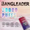 バングリーダーブランドの広告では、大きなグラデーションの文字で「20000 PUFFS」と強調された使い捨てベイプ デバイスが紹介されており、虎のグラフィックが付いた「ブルーベリー ラズベリー」というラベルが付いた赤と紫のデバイス、28ml の e-liquid、Type-C 充電、650mAh バッテリー、デュアル メッシュ コイル技術を示すアイコンが、柔らかいピンクの背景に描かれています。