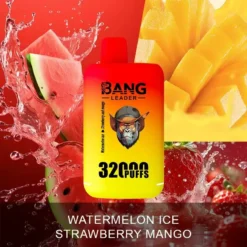 Ein leuchtendes Vape-Gerät mit Farbverlauf von Gelb nach Rot mit der Aufschrift „BANG LEADER 32000 PUFFS“, umgeben von Spritzern aus Wassermelone, Mango und Erdbeeren.