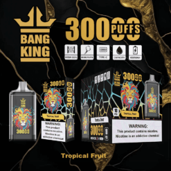 Bang King の使い捨て vape デバイスとパッケージには、カラフルなライオンのグラフィックが描かれ、トロピカルフルーツ風味、メッシュコイル、Type-C 充電、650mAh 容量、ニコチン警告で 3000 回吸引できるラベルが付いています。